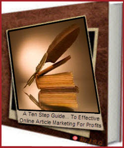 A Ten Step Guide TO Effecttive Online Marketing For Profits E-Book